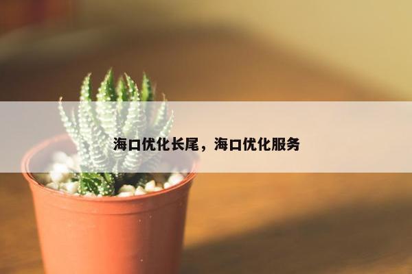 海口优化长尾，海口优化服务