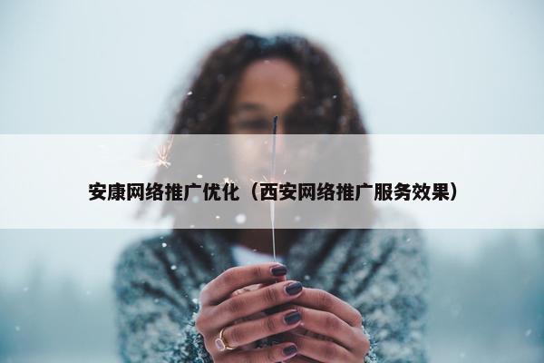 安康网络推广优化（西安网络推广服务效果）