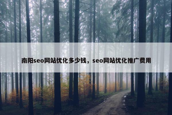 南阳seo网站优化多少钱，seo网站优化推广费用