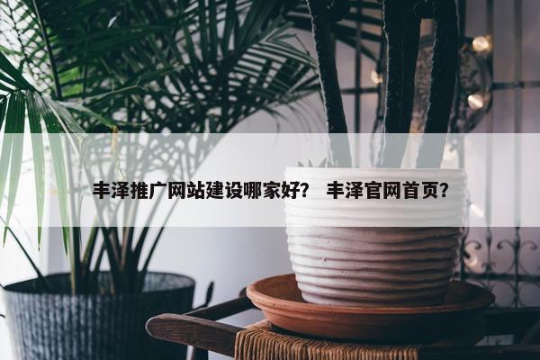 丰泽推广网站建设哪家好？ 丰泽官网首页？
