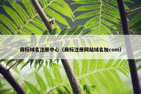 商标域名注册中心（商标注册网站域名加com）