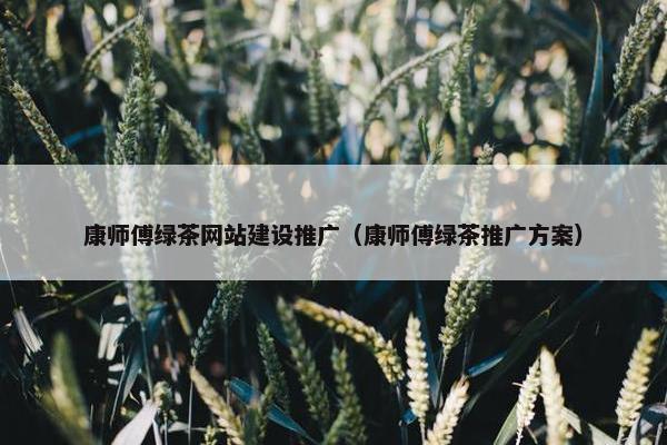 康师傅绿茶网站建设推广（康师傅绿茶推广方案）