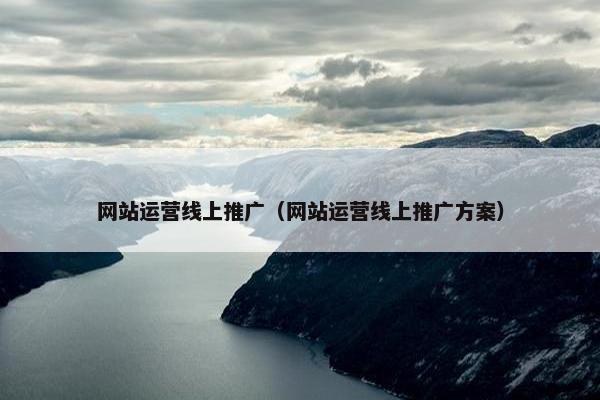 网站运营线上推广（网站运营线上推广方案）