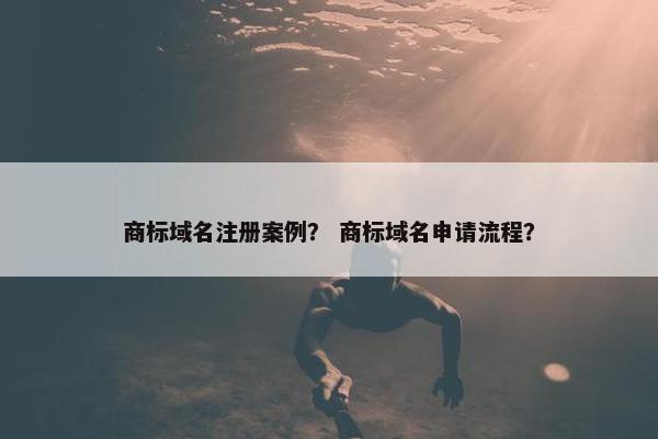 商标域名注册案例？ 商标域名申请流程？