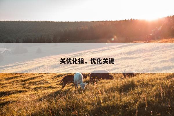 关优化指，优化关键