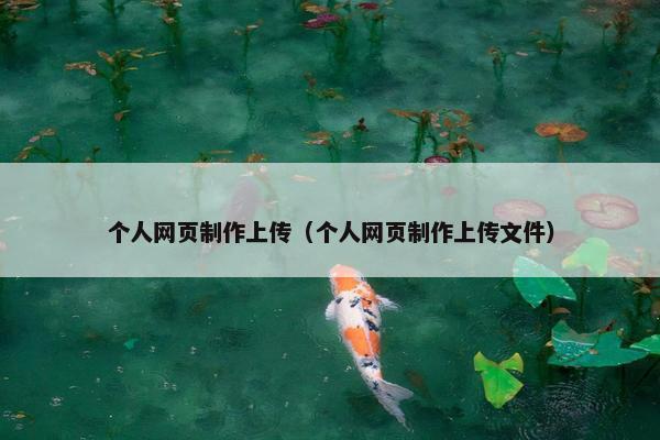个人网页制作上传（个人网页制作上传文件）