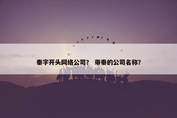 秦字开头网络公司？ 带秦的公司名称？
