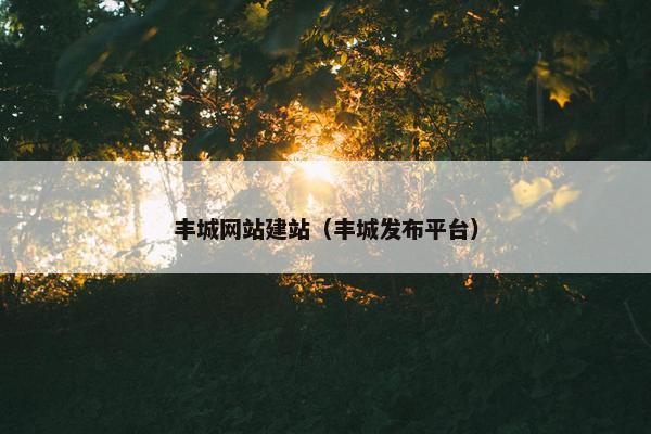 丰城网站建站（丰城发布平台）