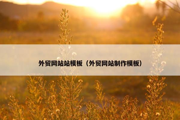 外贸网站站模板（外贸网站制作模板）