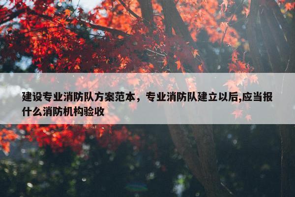 建设专业消防队方案范本，专业消防队建立以后,应当报什么消防机构验收