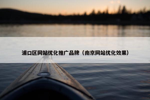 浦口区网站优化推广品牌（南京网站优化效果）