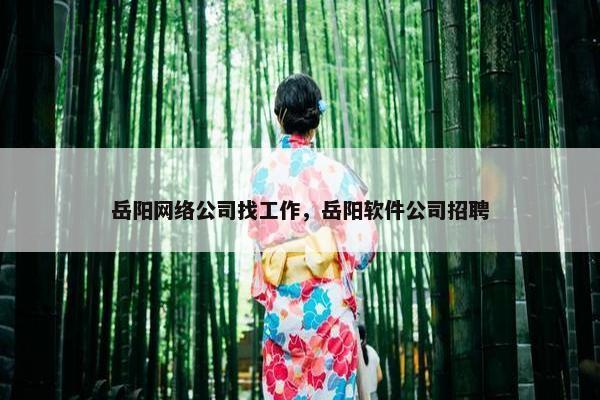 岳阳网络公司找工作，岳阳软件公司招聘