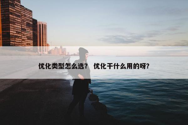 优化类型怎么选？ 优化干什么用的呀？