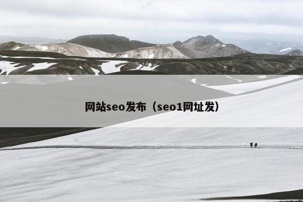 网站seo发布（seo1网址发）