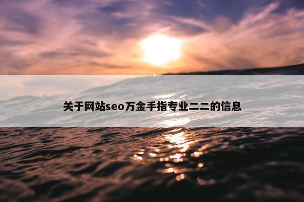 关于网站seo万金手指专业二二的信息
