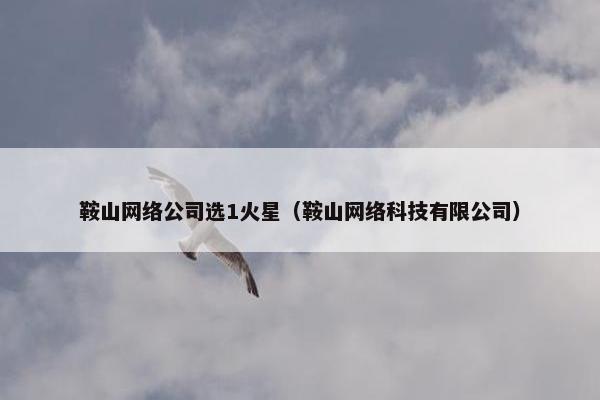 鞍山网络公司选1火星（鞍山网络科技有限公司）