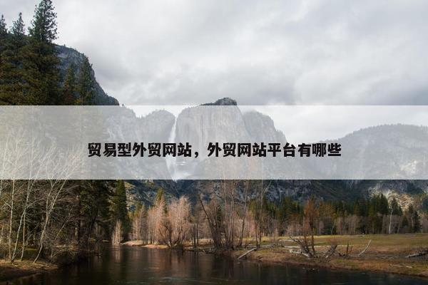 贸易型外贸网站，外贸网站平台有哪些