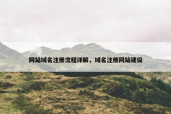 网站域名注册流程详解，域名注册网站建设