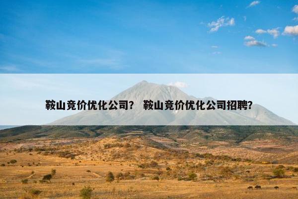 鞍山竞价优化公司？ 鞍山竞价优化公司招聘？