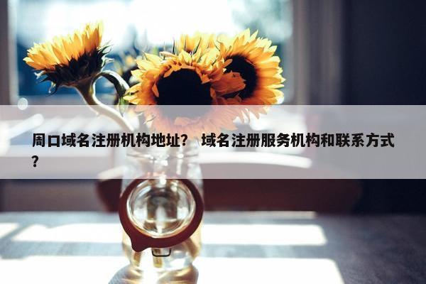周口域名注册机构地址？ 域名注册服务机构和联系方式？