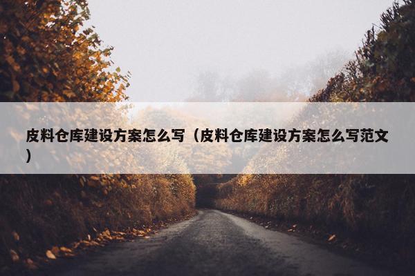 皮料仓库建设方案怎么写（皮料仓库建设方案怎么写范文）