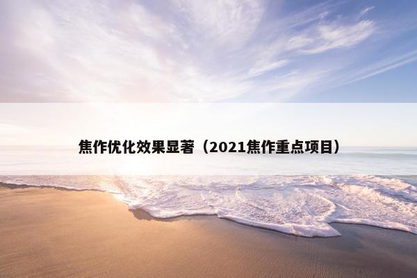 焦作优化效果显著（2021焦作重点项目）