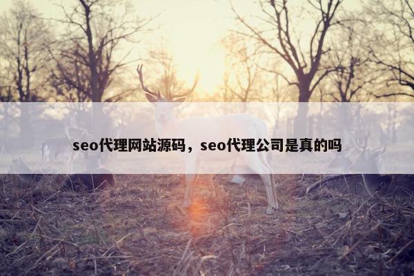 seo代理网站源码，seo代理公司是真的吗
