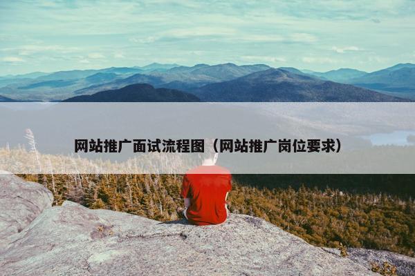 网站推广面试流程图（网站推广岗位要求）
