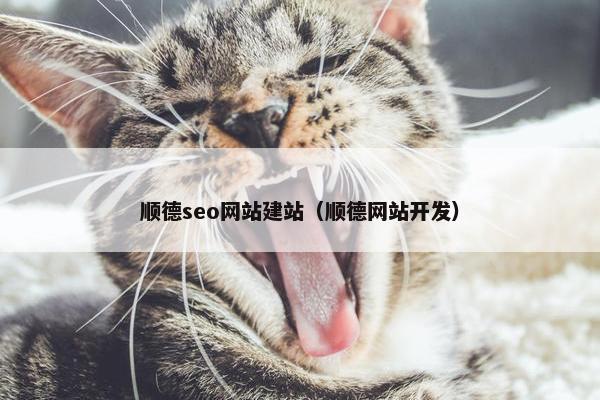 顺德seo网站建站（顺德网站开发）