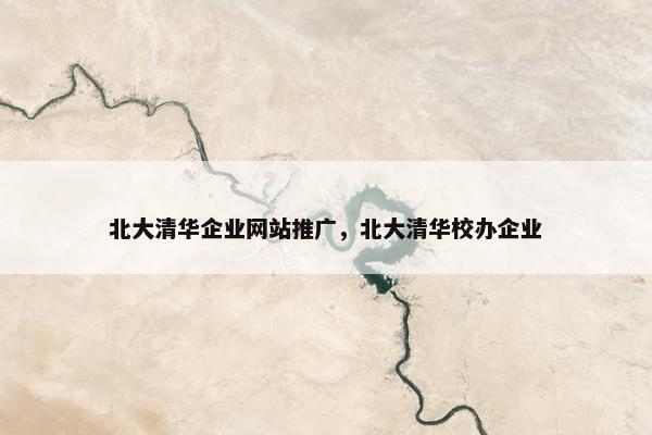 北大清华企业网站推广，北大清华校办企业