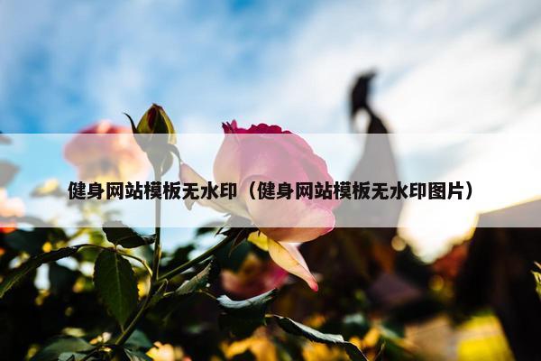 健身网站模板无水印（健身网站模板无水印图片）