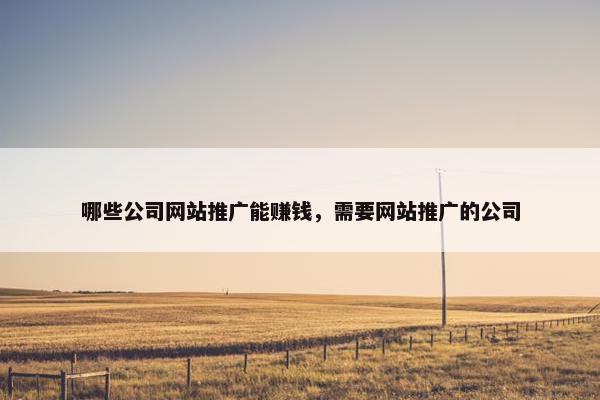 哪些公司网站推广能赚钱，需要网站推广的公司