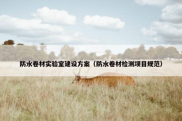 防水卷材实验室建设方案（防水卷材检测项目规范）
