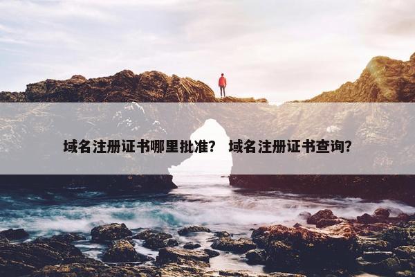 域名注册证书哪里批准？ 域名注册证书查询？