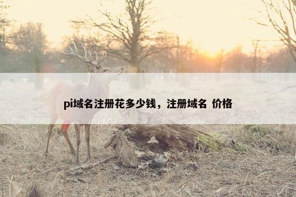 pi域名注册花多少钱，注册域名 价格