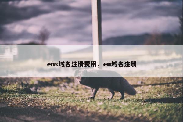 ens域名注册费用，eu域名注册