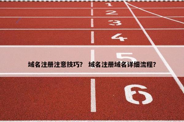 域名注册注意技巧？ 域名注册域名详细流程？