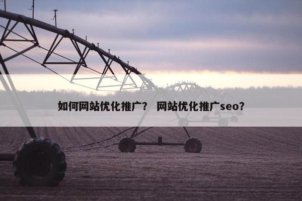 如何网站优化推广？ 网站优化推广seo？