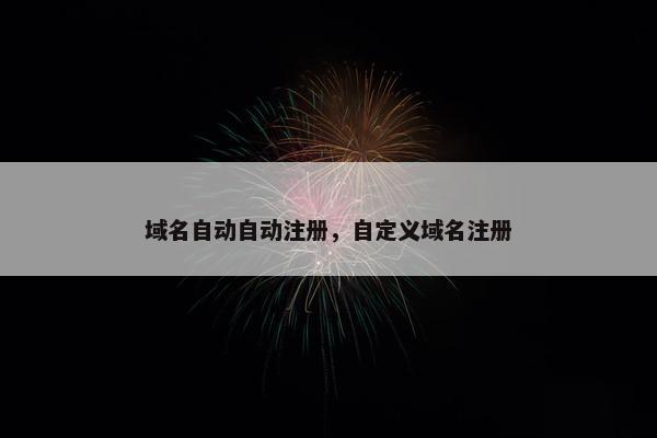 域名自动自动注册，自定义域名注册