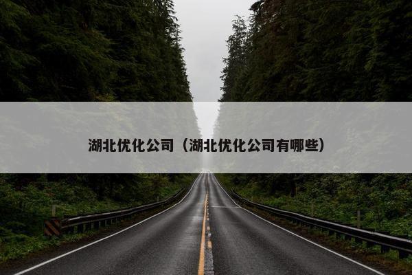 湖北优化公司（湖北优化公司有哪些）