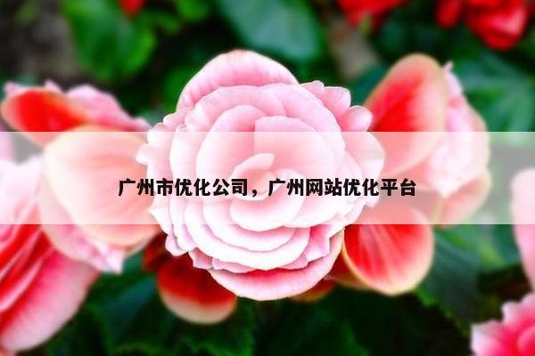 广州市优化公司，广州网站优化平台