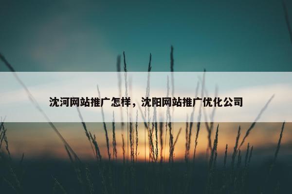 沈河网站推广怎样，沈阳网站推广优化公司