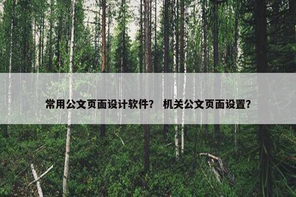 常用公文页面设计软件？ 机关公文页面设置？