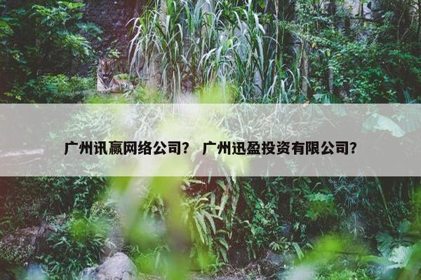 广州讯赢网络公司？ 广州迅盈投资有限公司？