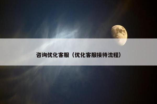 咨询优化客服（优化客服接待流程）