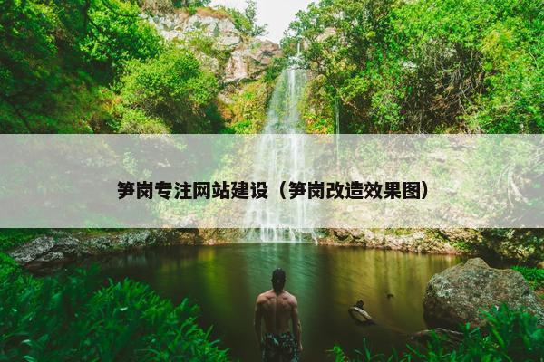 笋岗专注网站建设（笋岗改造效果图）
