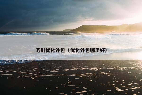 务川优化外包（优化外包哪里好）