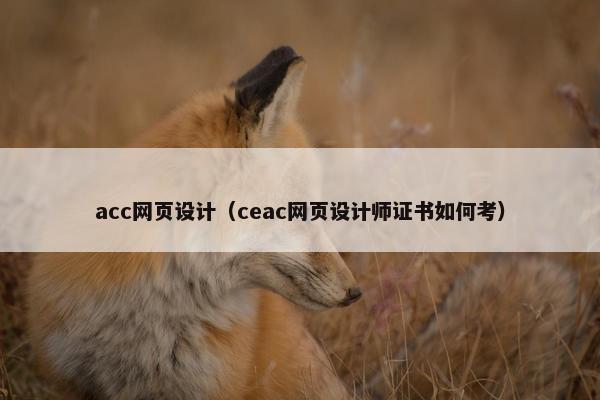 acc网页设计（ceac网页设计师证书如何考）