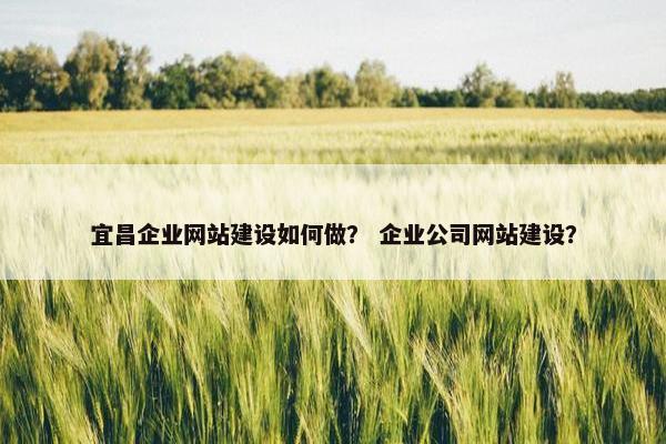 宜昌企业网站建设如何做？ 企业公司网站建设？