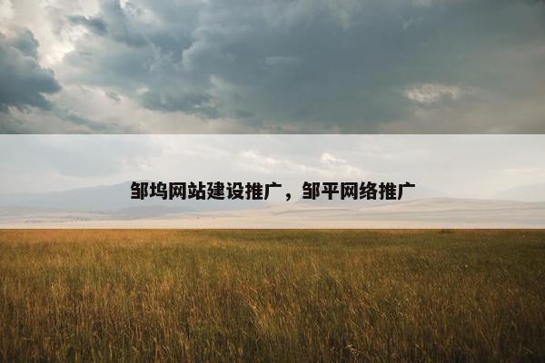邹坞网站建设推广，邹平网络推广